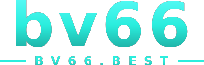 bv66 logo
